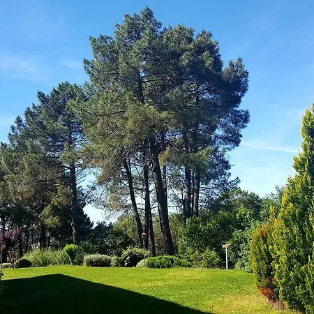 Del Infante Real Casa de hóspedes